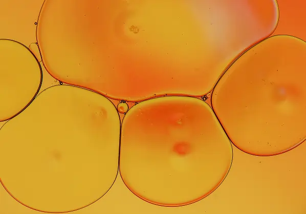 Замерзает ли оливковое масло в холодильнике? 