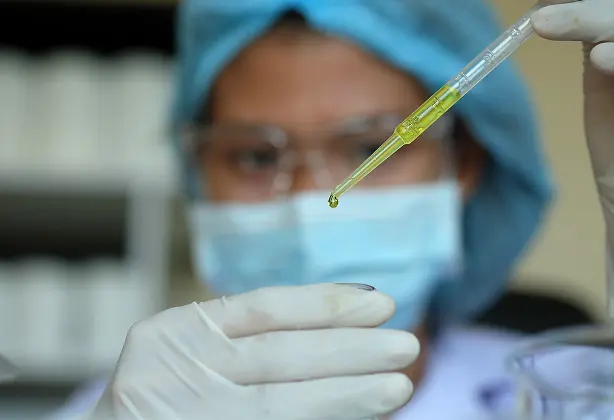 Ученые обнаружили микропластик в итальянском оливковом масле