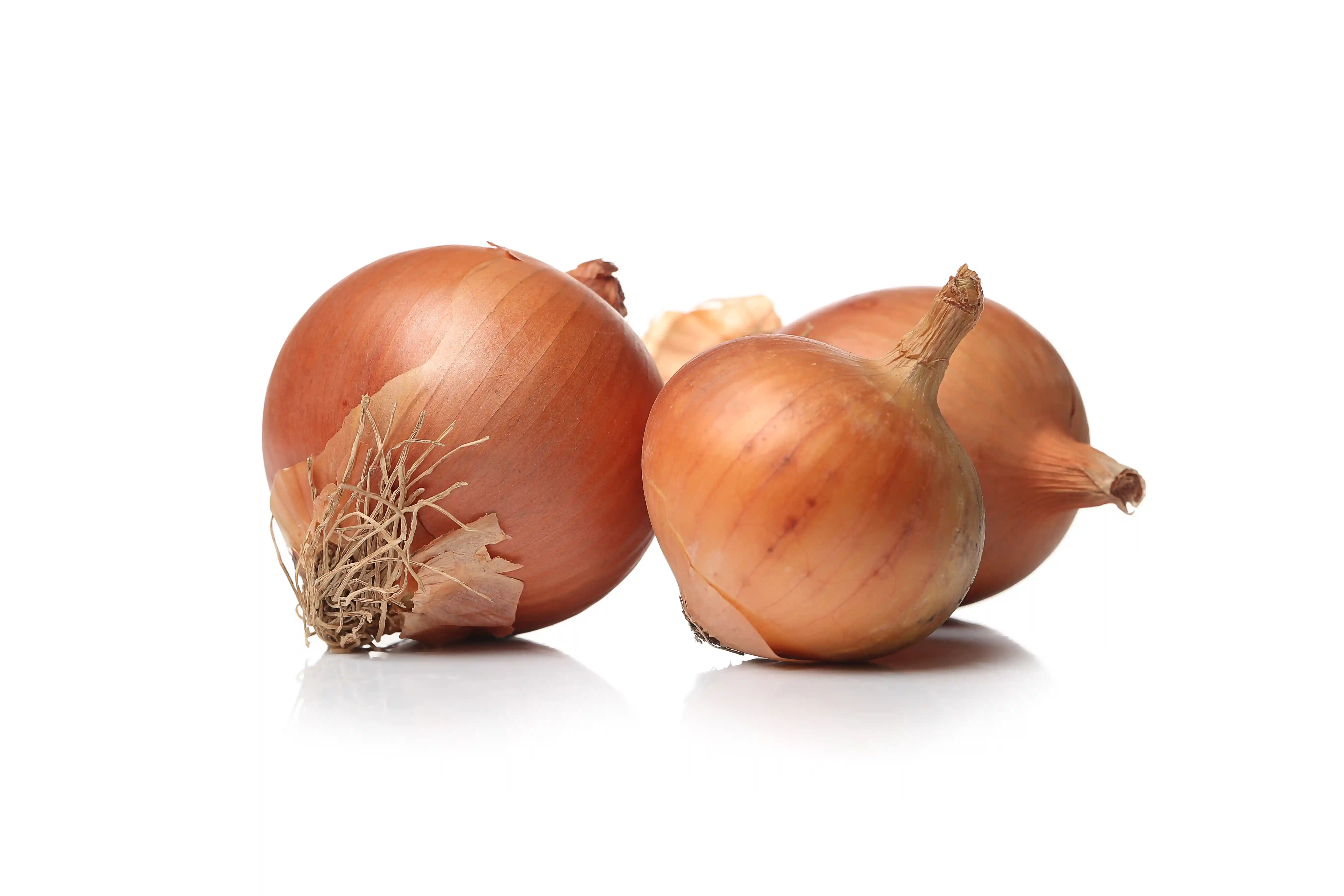 Лук