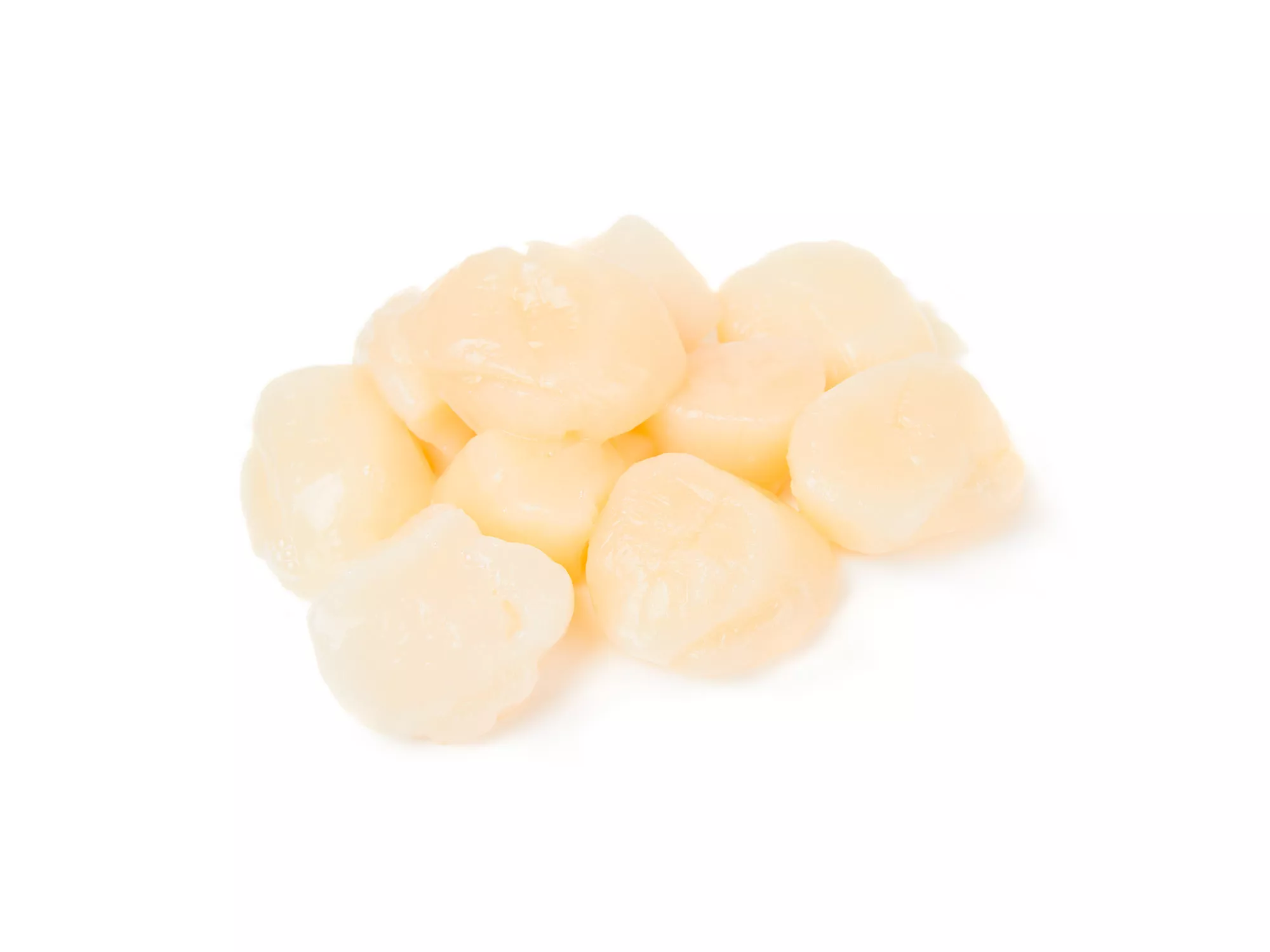 Морские гребешки