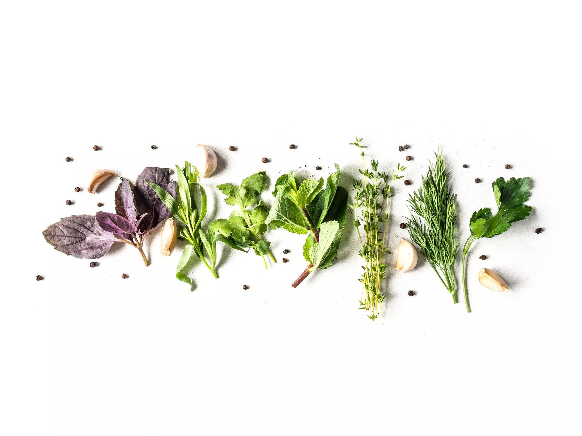 Свежая зелень